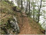 Dom Planica - Mojčin dom na Vitrancu